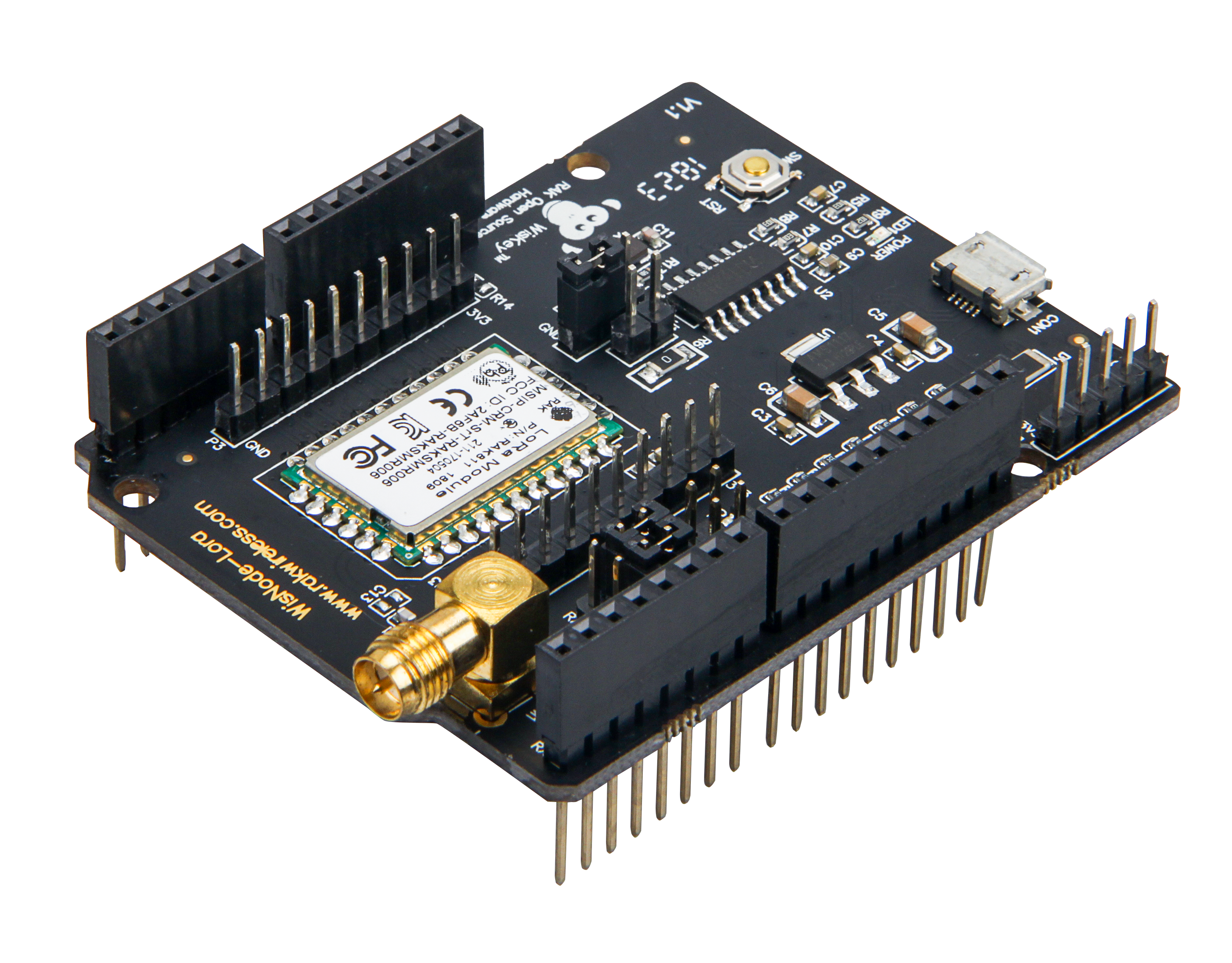 Figure 1: RAK811 WisNode LoRa Module